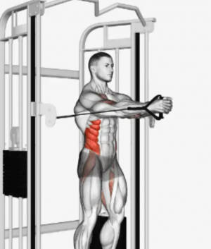 Zzzzz 1682103675zzzzzz — TIERLIST TREN INFERIOR + ABDOMEN CREATINE BOYS option 63