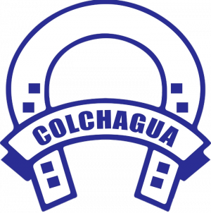 Equipos Chilenos — option 56