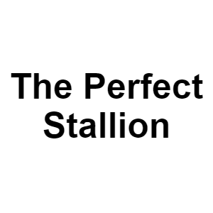 Every Song in MLP:FIM — option 13