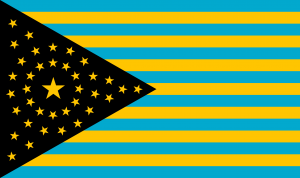 TNC State/Territory Flags — option 8