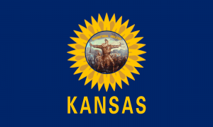 TNC State/Territory Flags — option 37