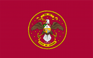 TNC State/Territory Flags — option 82