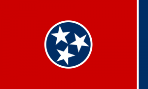 TNC State/Territory Flags — option 85