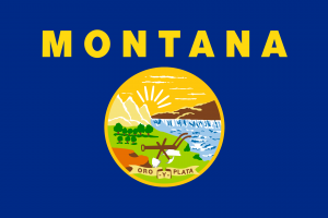 Flagofmontanasvg — USA State/Territory Flags (new UT and MS flags) option 26