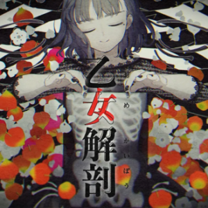 Jacket092 — Niigo/25ji song ranks option 10