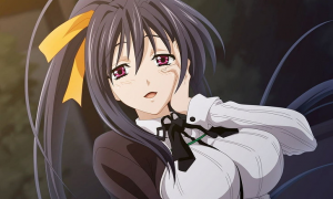 Himejima Akeno Highschool Dxd Anime Girls Wallpaper Preview — 2023 Anime Waifu Tier List option 78