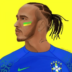Páginas de F1 no Twitter BR — option 22