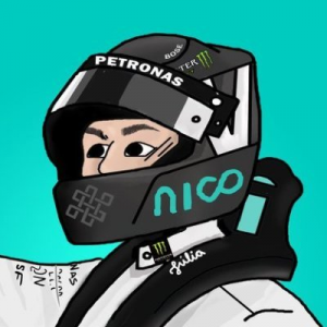 Páginas de F1 no Twitter BR — option 25