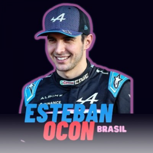 Páginas de F1 no Twitter BR — option 29
