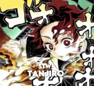 96c5b94c 47fe 409d 8a9a 7110883e3a84 — Demon slayer inverse tiering option 33
