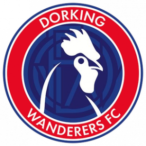 Dorkingwanderersfclogo — Vanarama national league 23/24 option 15