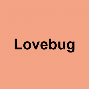 S/O terms of endearment — option 32