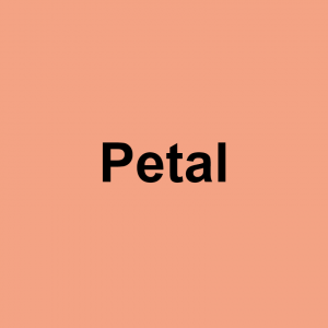 S/O terms of endearment — option 50