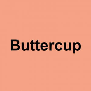 S/O terms of endearment — option 51