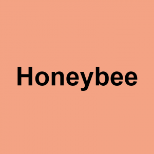 S/O terms of endearment — option 52