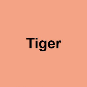 S/O terms of endearment — option 54