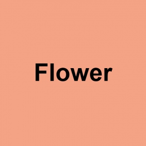 Image 0 — S/O terms of endearment option 61