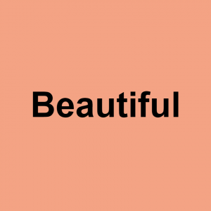 Image 71 — S/O terms of endearment option 79
