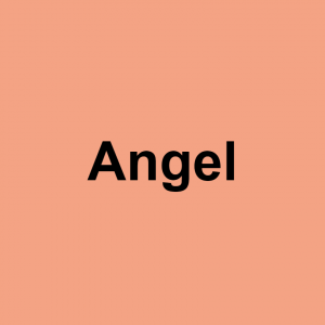 Image 81 — S/O terms of endearment option 81