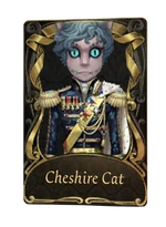 idv naib subedar skin list — option 7