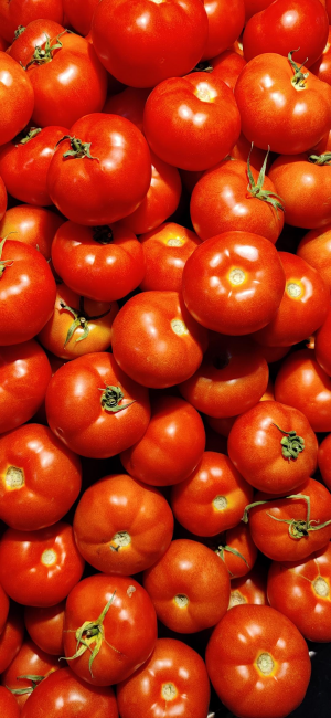 Tomatoes — Mancare foarte buna option 43