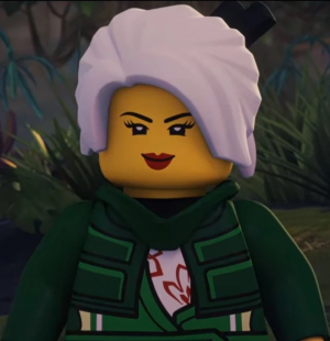Img4147 — Lego Ninjago Villains Before Dragons Rising option 72