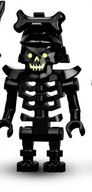 Img4185 — Lego Ninjago Villains Before Dragons Rising option 101