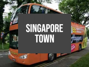 Singapore Town — NDP SONGS (-2023) option 22