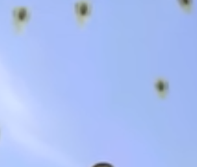 Little Toilet Smallpng — SKIBIDI TOILET (ALL OF THEM) option 23