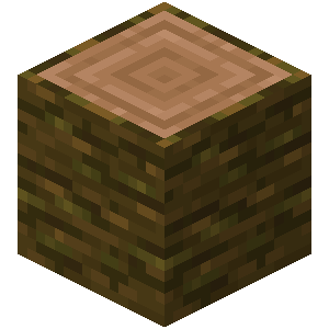 B04 Jungle Log — Minecraft Wood Types (updated for 1.20) option 15