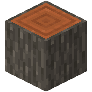 B05 Acacia Log — Minecraft Wood Types (updated for 1.20) option 16