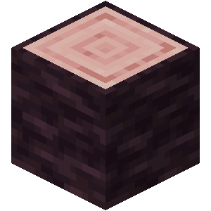 B08 Cherry Log — Minecraft Wood Types (updated for 1.20) option 19
