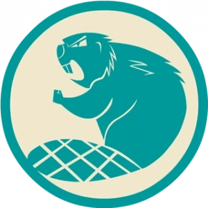Zzzzz 1698268870blazingbeaverslogo — Total Drama Do Over Tier List option 259