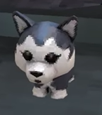 Dog — Gorilla Tag Cosmetics (BEACH UPDATE) option 70