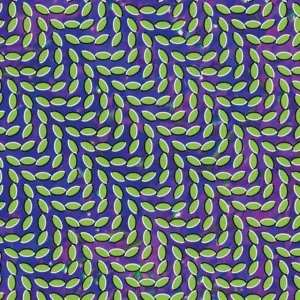 Animal Collective Merriweather Post Pavilion Cover Art — Top RYM Albums, Mixtapes, etc and also some other stuff option 8
