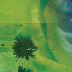 Eiafuawn Birds In The Ground Cover Art — Top RYM Albums, Mixtapes, etc and also some other stuff option 68