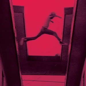 Mos Def The Ecstatic Cover Art — Top RYM Albums, Mixtapes, etc and also some other stuff option 137