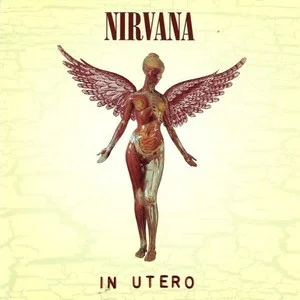 Nirvana In Utero Cover Art — Top RYM Albums, Mixtapes, etc and also some other stuff option 147