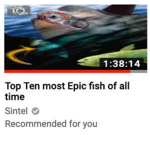 Zzzzz 1686774351sintel Top Ten Most Epic Fish Of All Time Cover Art — Top RYM Albums, Mixtapes, etc and also some other stuff option 442