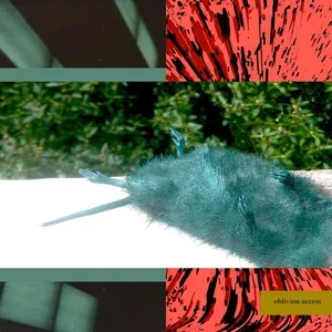 Zzzzz 1686774353lil Ugly Mane Oblivion Access Cover Art — Top RYM Albums, Mixtapes, etc and also some other stuff option 492