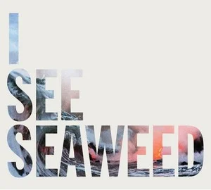 Zzzzz 1686774433the Drones I See Seaweed Cover Art — Top RYM Albums, Mixtapes, etc and also some other stuff option 517