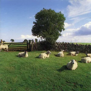 Zzzzz 1686774875the Klf Chill Out Cover Art — Top RYM Albums, Mixtapes, etc and also some other stuff option 571