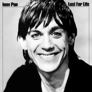 Zzzzz 1686777313iggy Pop Lust For Life Cover Art — Top RYM Albums, Mixtapes, etc and also some other stuff option 802