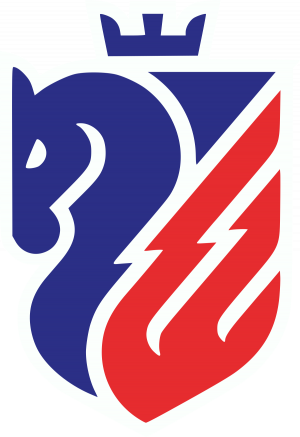 Fcbotosani2022logo — Predictii pentru Superliga Romaniei/Liga 1 sez.2023-2024 option 5