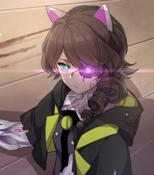 Erwinreannaschrodinger29 — Honkai Impact 3 characters option 20