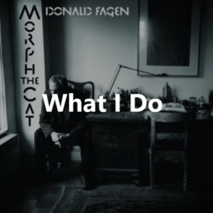 Dfff3 Min — Steely Dan Complete Song Tier List option 19
