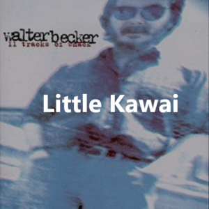 Wb12 Min — Steely Dan Complete Song Tier List option 165