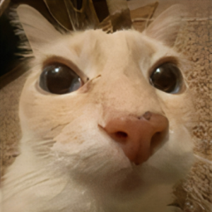 Dosekai — Chile Streamers option 25