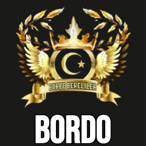 Bordo — RR - Parties and Teams option 6