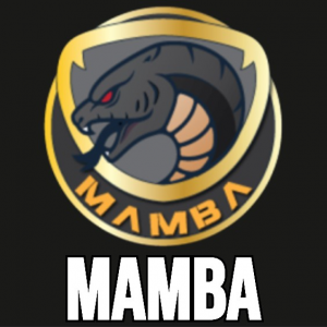 Mamb — RR - Parties and Teams option 32